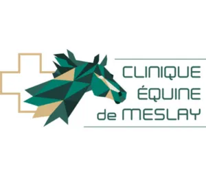 Home Clinique Équine de Meslay